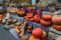 fête de la citrouille,jardinage,jardin 031.JPG