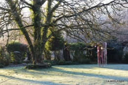 givre,maison,oiseaux 060.JPG