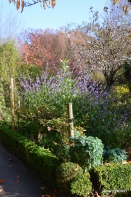 couleurs d'automne,bouquet,lune 137.JPG