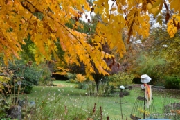 les arbres en automne,cabane 017.JPG