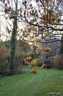 jardin propre,bruyères 038.JPG