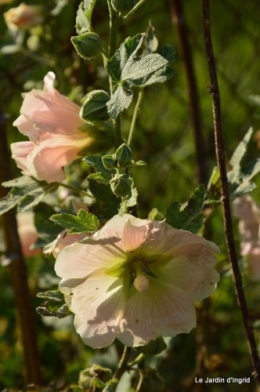 moi,Trémolat,Limeuil,Mombazillac,Bridoire,chèvres Banes,jardin,R 182.JPG