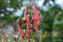 jardin,papillons,anniversaire d'Ines,bricolage 083.JPG