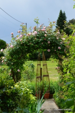 fête de la fraise Vergt,roses jardin 170.JPG