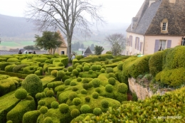 caltha , les 20 de Marqueyssac 096.JPG