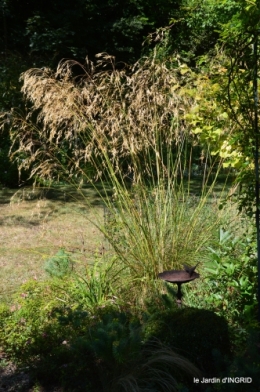 les filles,piscine,jardin,tipi 097.JPG