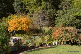 jardin serre bucher automne 056.JPG