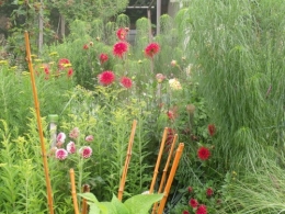 été