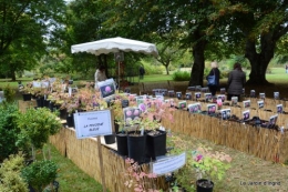 jardin,St Avit Seigneur brocante,Neuvic fête des plantes 085.JPG