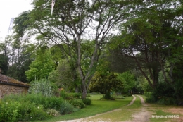 jardin,chez Bernadette,puces,cygnes,pluie 171.JPG