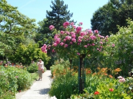 Normandie,jardin Monet,baie de Somme,chez Marylaur 226.JPG