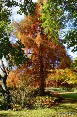 les arbres en automne,cabane 087.JPG