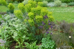 les ancolies,l'atelier vegetal,fete des fleurs lalinde 024.JPG