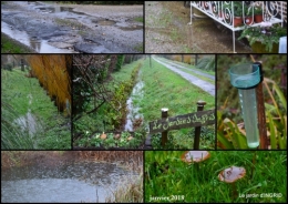 2018-01-22 bulbes,perce neige,narcisse,pluie,hélébore,chapelle2.jpg