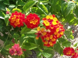 été