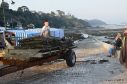 Cancale,plages du D,Joseph,Mesnil Gaillard,Miromesnil 036.JPG