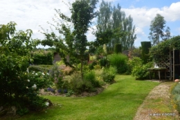 inondation,jardin,oeufs cygnes,chez Nathalie 092.JPG