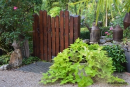 jardin en septembre,les cygnes 090.JPG