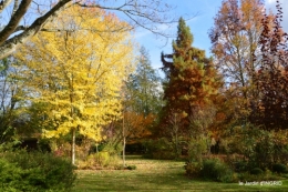 canal,erable rouge,chez Caroline nouvelle maison 091.JPG