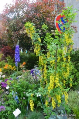 Colombier,Cadouin,jardin,roses,pluie 071.JPG