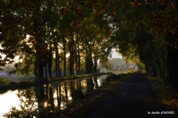 jardin automne,voisinage,canal 079.JPG