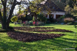 jardin, feuilles,sauges,gloriette,land art 107.JPG