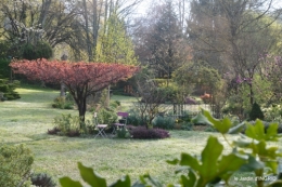 jardin,Ciron,pigeons,magnolia,amélanchier 107.JPG