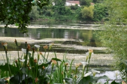 sentier des cygnes,hémérocalles,bouquet,jardin 097.JPG