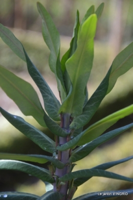 Romane,arbre de Paques,chez Bernadette,jardin 018.JPG