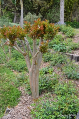 la Roque Gageac,Ines,jardin 090.JPG
