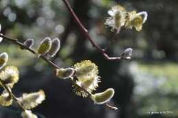 Romane,arbre de Paques,chez Bernadette,jardin 005.JPG