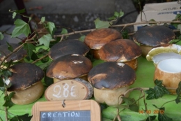 champignons,citrouilles,st Mayme de Péreyrol,fuschias,jardin aut 083.JPG