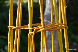 Cours d'osier,première fleur 023.JPG