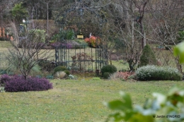 premières fleurs février,la pluie,la fauvette,hélébores 002.JPG