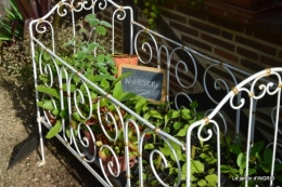 portes ouvertes,taille marguerittes,jardin 002.JPG