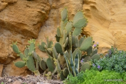la Roque Gageac,Ines,jardin 084.JPG