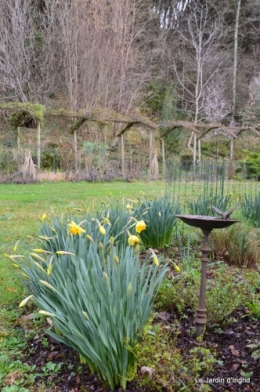 jonquilles,aubriétia,pervenche,primevères,lamier,crocus,violettes,cognassier du japon,euphorbe myrsinittes,prunus sauvage