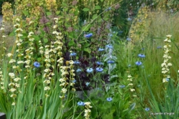 mai au jardin,les filles 146.JPG