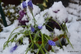 Neige en dordogne,jardin 111.JPG