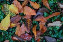 Romefort,bord de Creuse,vent,feuilles,jardin,canal 190.JPG