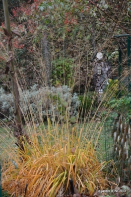 Brouillard,cypres chauve,jardinage 047.JPG