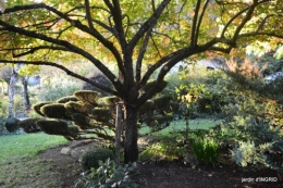 Jardin à l'automne 135.jpg