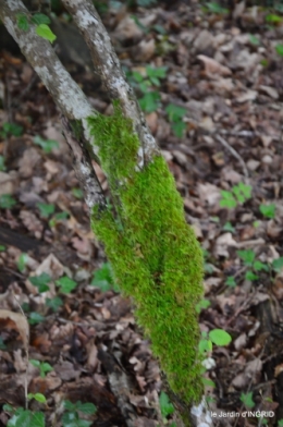 jardin,st Astier,colline 044.jpg