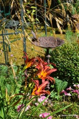 jardin,papillons,Cadouin,légumes,Sophie, 118.JPG