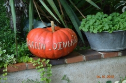 champignons,citrouilles,st Mayme de Péreyrol,fuschias,jardin aut 153.JPG