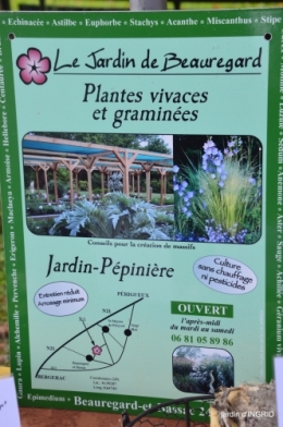 fête de la citrouille,jardinage,jardin 035.JPG