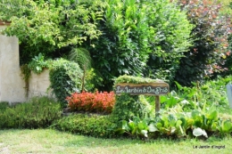 jardin juillet 034.JPG