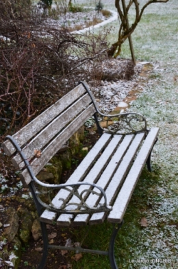 oiseaux première neige 030.JPG