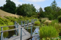 les jardins d'eau de Carsac 048.JPG