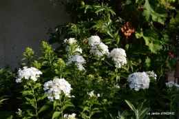 dahlias,jardin,puces st Avit Seigneur,Paniers Issigeac,Romane 041.JPG